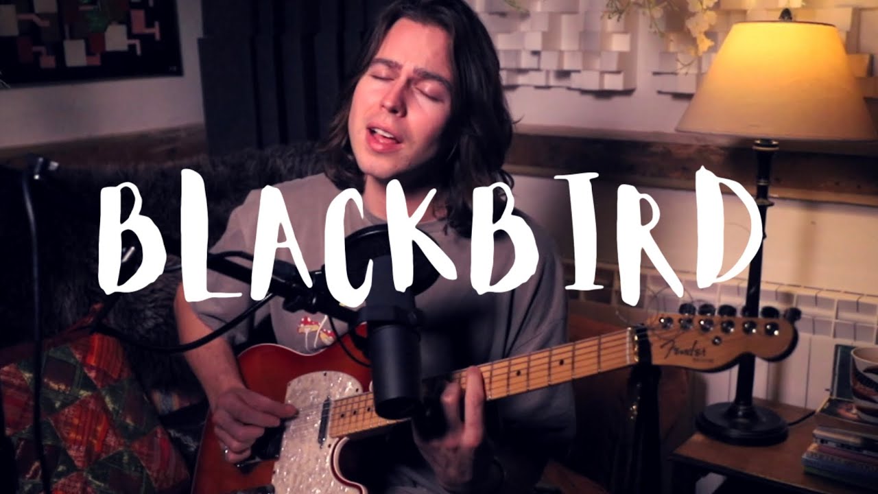 Blackbird – The Beatles (Willow Robinson cover)