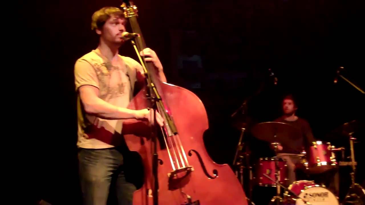 Gecko 3 – Paul Gilbody Bass Scat.mp4