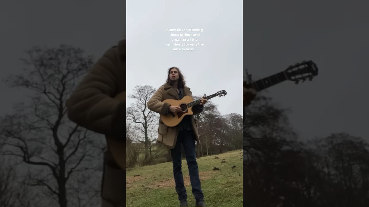 Guitar in the snow ❄️