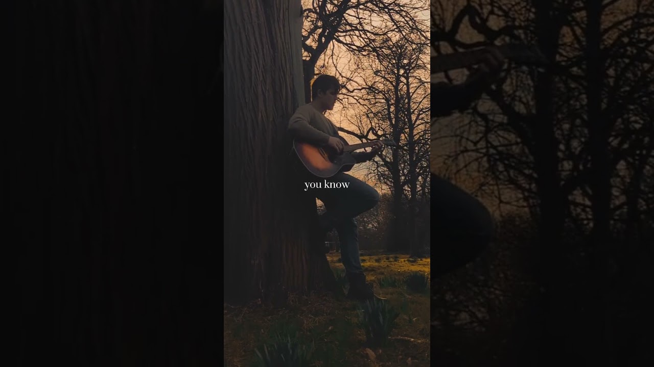 The journey is the reward #acoustic #singersongwriter #lyrics #cozy #newmusic #happy