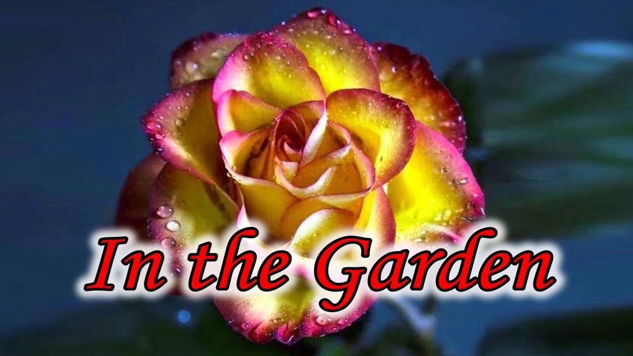 In the Garden – an old time gospel favorite by Bird Youmans